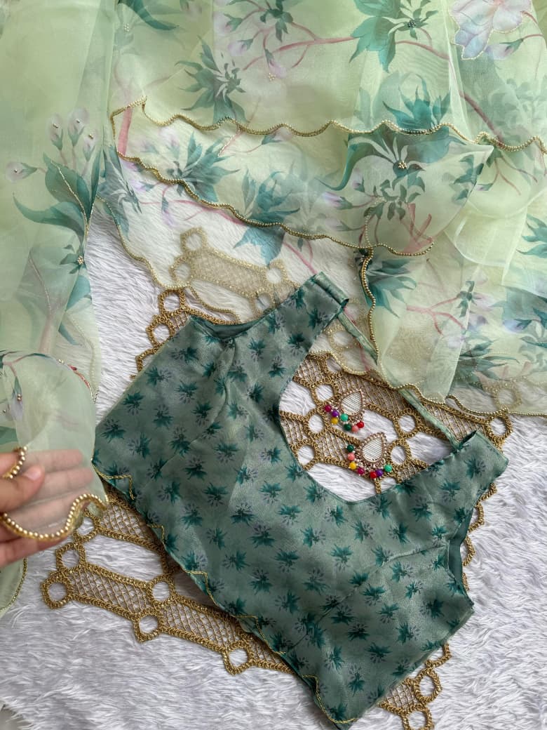 Mint Meadow Organza Saree SD-1073